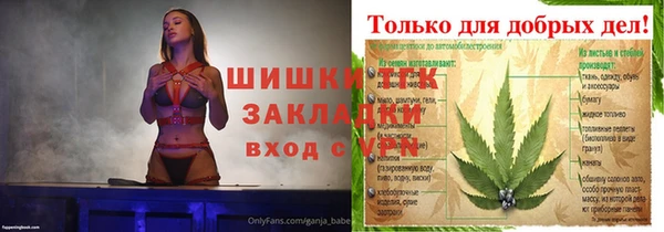 хмурый Арсеньев
