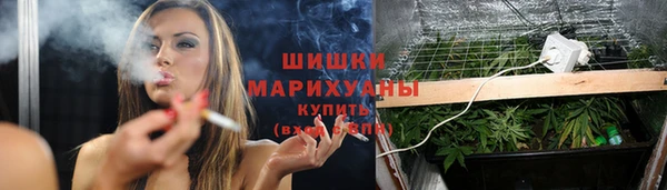 хмурый Арсеньев