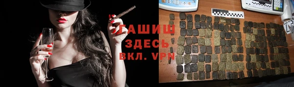 хмурый Арсеньев