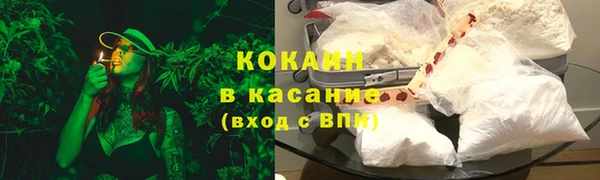 хмурый Арсеньев