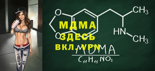 хмурый Арсеньев