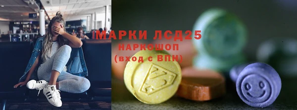 хмурый Арсеньев