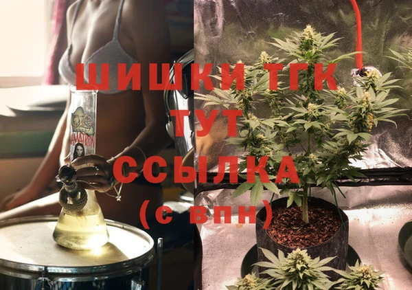 хмурый Арсеньев