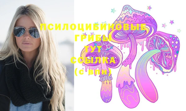 хмурый Арсеньев