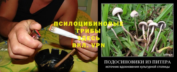 ALPHA PVP Армянск
